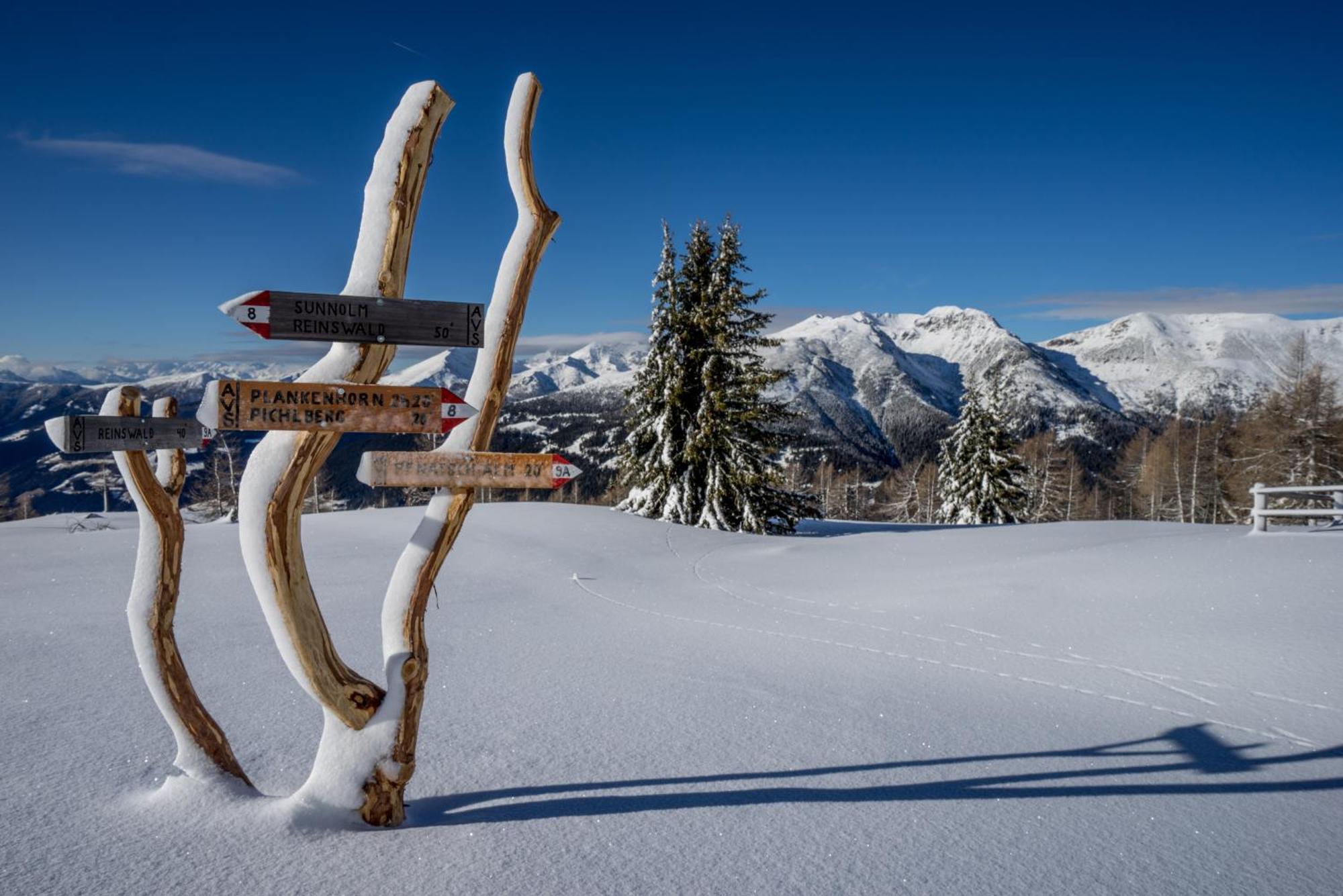Отель Panoramic Lotsch Sarentino Экстерьер фото